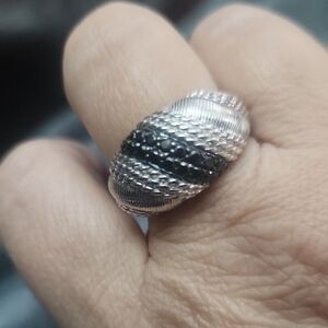 Silver and Black JUDITH RIPKA 9